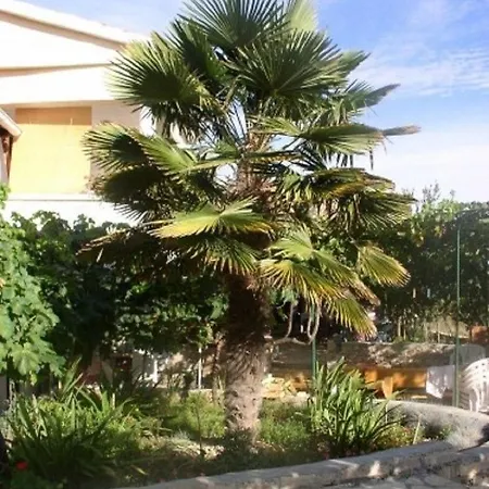 Apartment Kuzma - Afordable