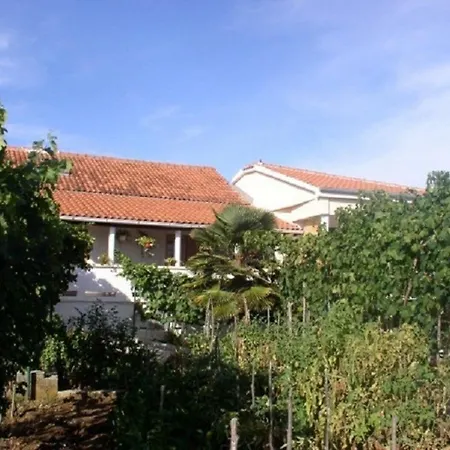 Apartment Kuzma - Afordable